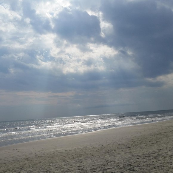 Meet your Posher, Miranda - Picture 1 of 1